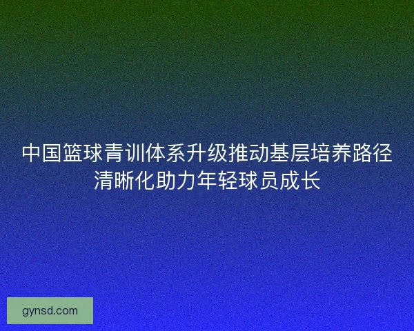 中国篮球青训体系升级推动基层培养路径清晰化助力年轻球员成长