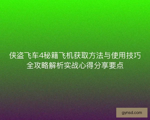 侠盗飞车4秘籍飞机获取方法与使用技巧全攻略解析实战心得分享要点
